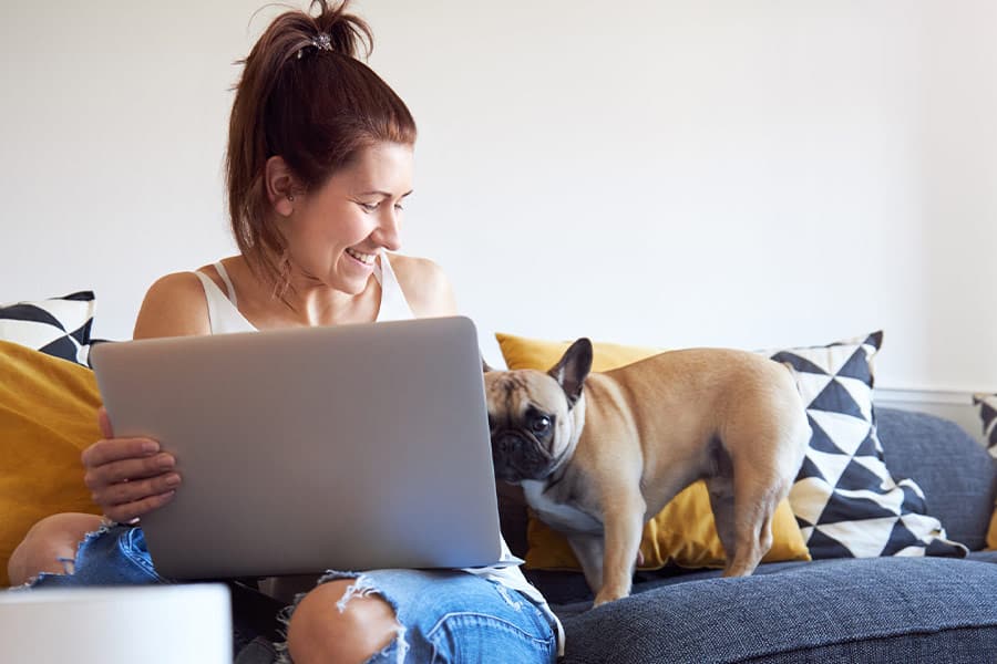 How to Market Your Pet Business on Social Media