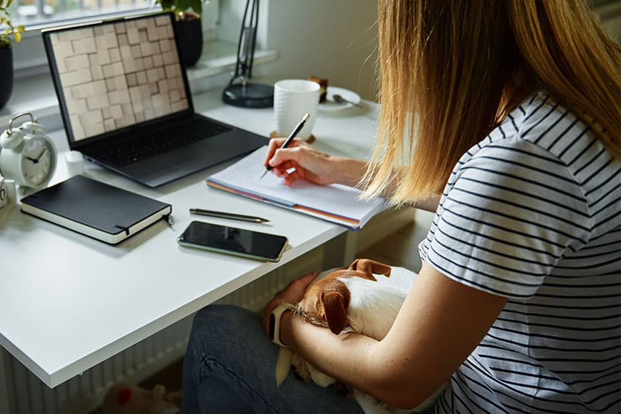 Building Trust Online: Tips for Pet Business to Establish Credibility