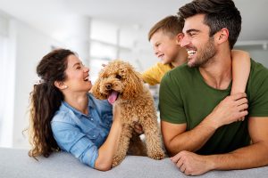 Utilizing Social Proof to Enhance Your Pet Sitting Website
