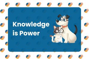 Stay Ahead of the Competition with Pet Biz Reports’ Monthly Insights